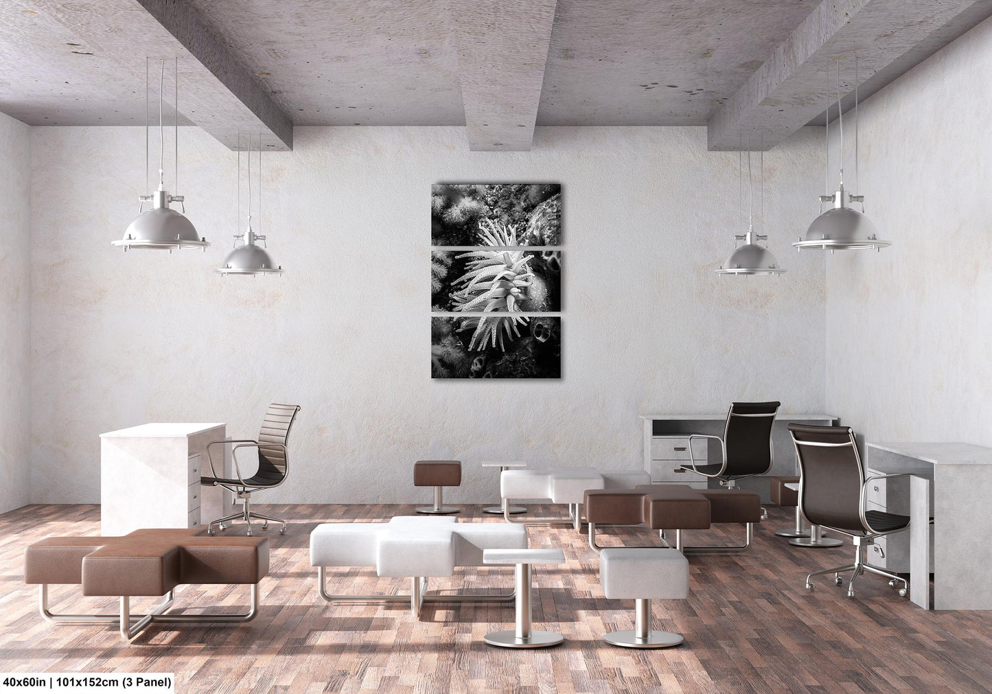 Sea Life Wall Art Sea Anemone Underwater Print in Black and White Ocean Lover Gift Coral Reef Art