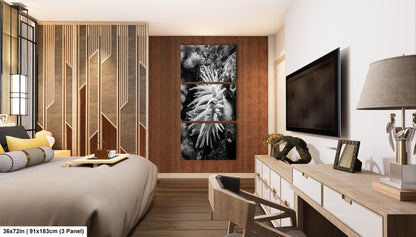 Sea Life Wall Art Sea Anemone Underwater Print in Black and White Ocean Lover Gift Coral Reef Art