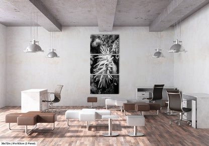 Sea Life Wall Art Sea Anemone Underwater Print in Black and White Ocean Lover Gift Coral Reef Art