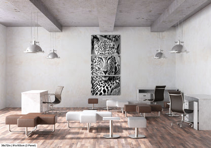 Leopard African Safari black and white