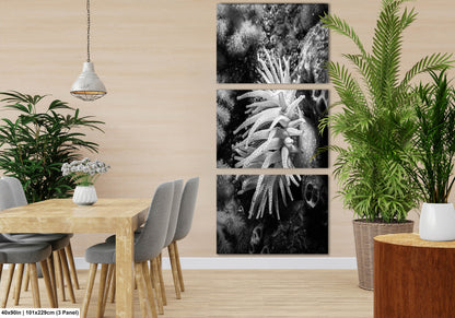 Sea Life Wall Art Sea Anemone Underwater Print in Black and White Ocean Lover Gift Coral Reef Art