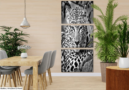 Leopard African Safari black and white