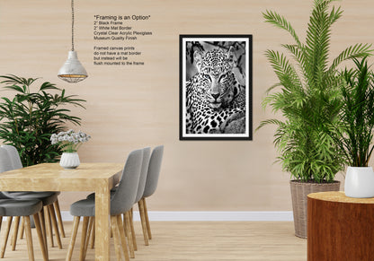 Leopard African Safari black and white