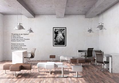 Sea Life Wall Art Sea Anemone Underwater Print in Black and White Ocean Lover Gift Coral Reef Art