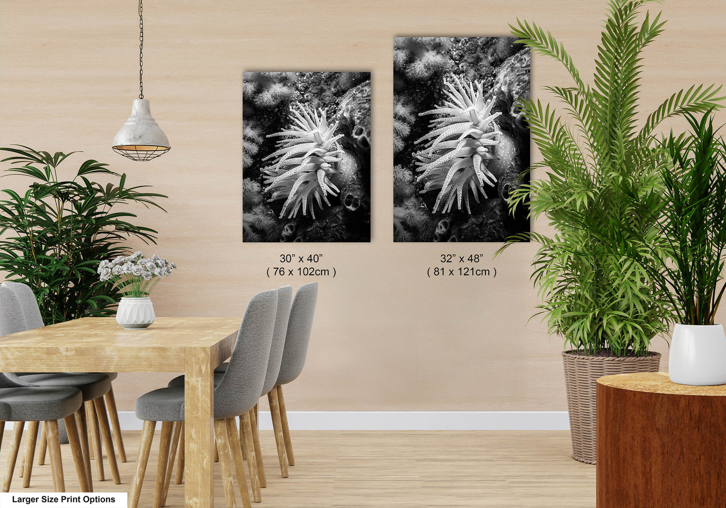 Sea Life Wall Art Sea Anemone Underwater Print in Black and White Ocean Lover Gift Coral Reef Art