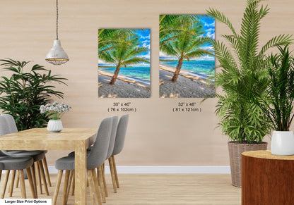 Palm Tree Photo, Wall Art, Palms, Photo, Canvas Print, Wall Decor, Metal Print