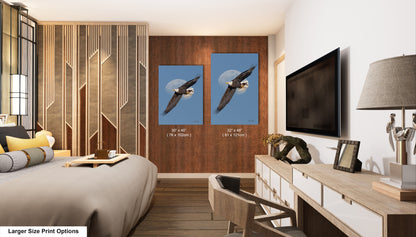 a modern bedroom with a large bed, a television, and a wooden dresser. There are two framed prints of a bald eagle in flight on the wall, and a lamp is also present in the room.