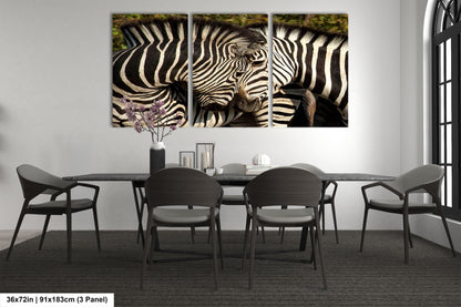a couple of zebra standing next to each other
