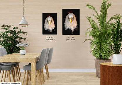 a dining room with a table and chairs and a picture of a bald eagle