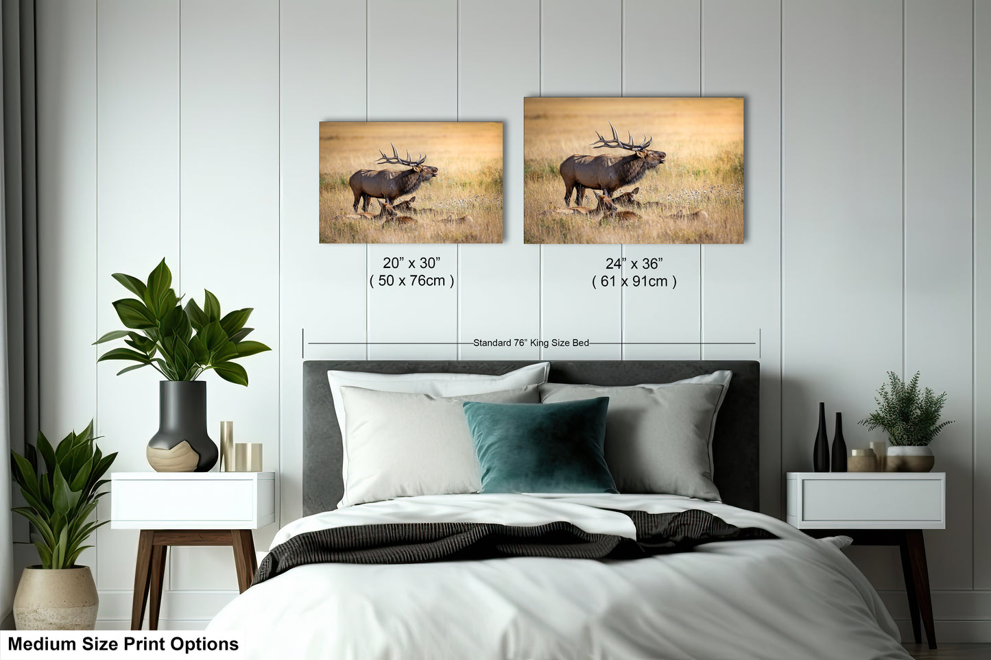 a bed room with a bed and two pictures on the wall