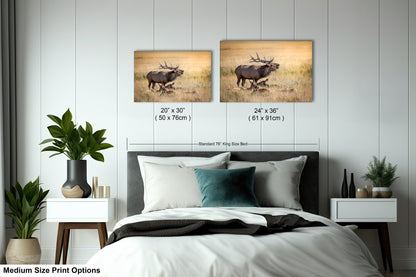 a bed room with a bed and two pictures on the wall