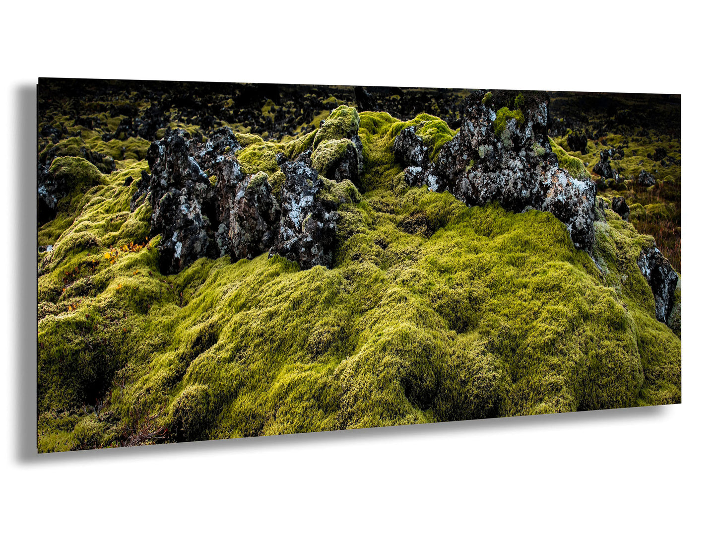 a mossy rock covered in lots of green moss