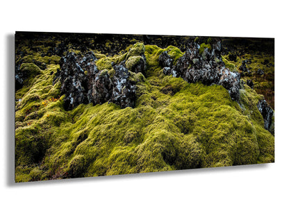 a mossy rock covered in lots of green moss