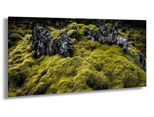 a mossy rock covered in lots of green moss