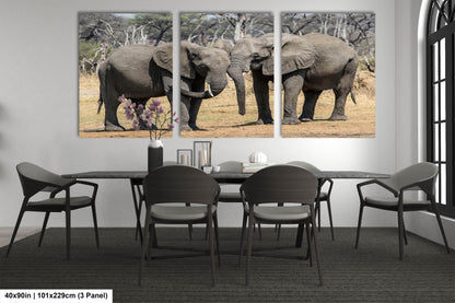 a couple of elephants standing next to each other