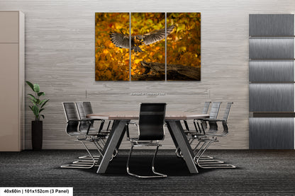 a table with chairs and a table with a bird on it