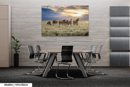 a group of horses grazing in a field at sunset