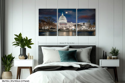 a picture of the capitol building in washington dc