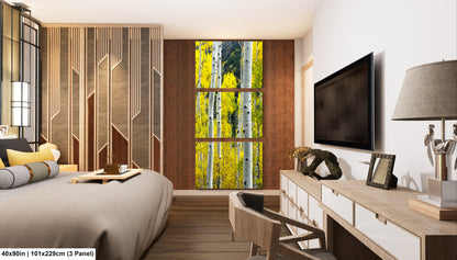 a bed room with a neatly made bed and a flat screen tv