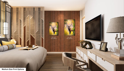 a bed room with a neatly made bed and a flat screen tv