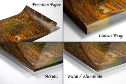 a series of four images showing different stages of painting