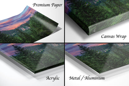 a series of four photos of a forest