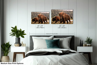 a bed room with a neatly made bed and two pictures on the wall