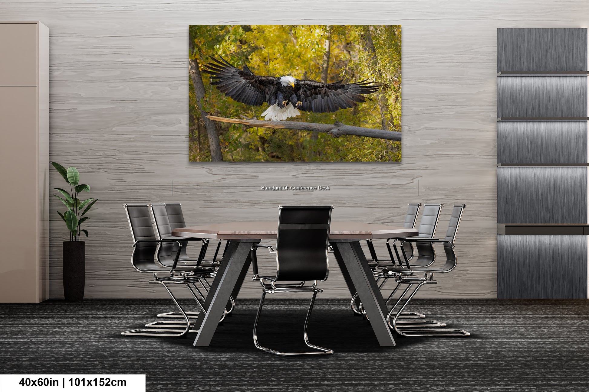 a bald eagle landing on a branch in a forest