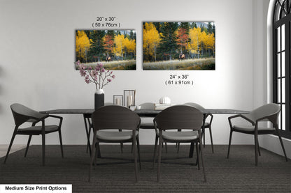 a dining table with four chairs and a vase of flowers