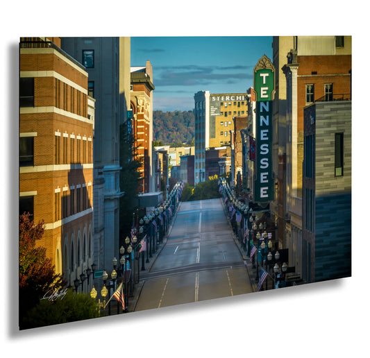 a view of a city street in the daytime