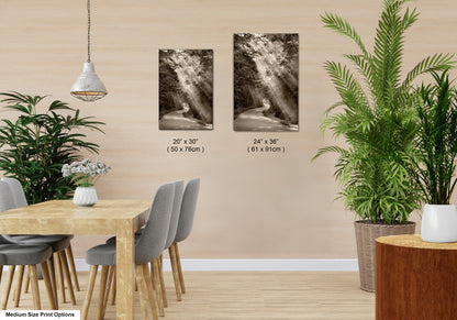 a dining room with a table and chairs