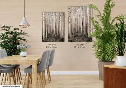 a dining room with a table and chairs next to a potted plant