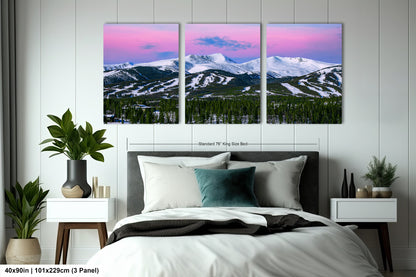 a bedroom with a bed and two paintings on the wall