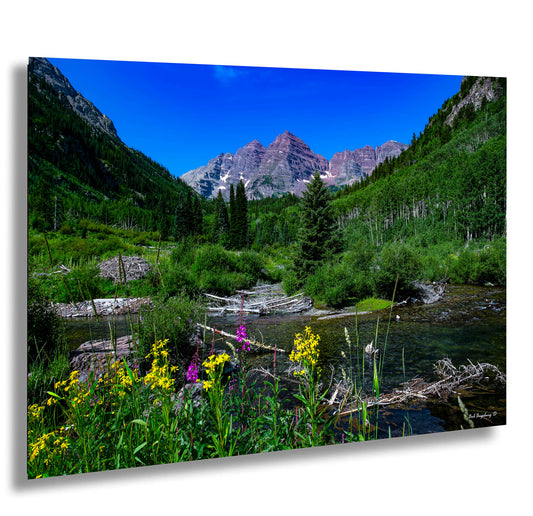 a mountain stream surrounded by wildflowers and trees