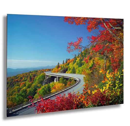 a scenic view of a highway surrounded by colorful trees
