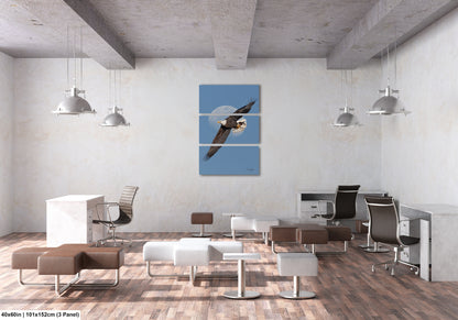 The image is a modern office space with a minimalist design. It features a large blue wall with a framed image of a bird in flight, a white desk, a brown leather chair, and a white table. The room has a concrete ceiling with hanging lights, and the floor is made of wood.