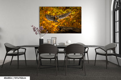 an owl landing on a branch in a dining room