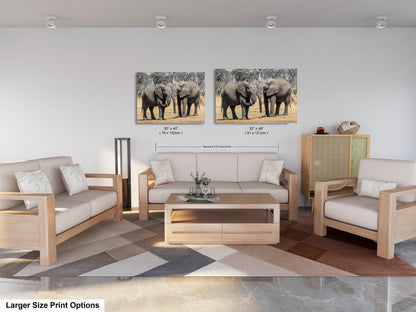 a living room with two pictures of elephants on the wall