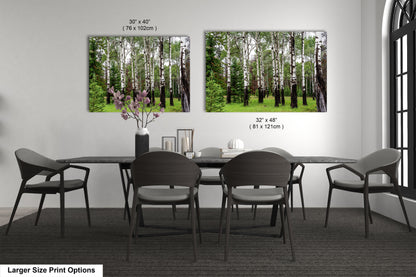 a dining room with a table and chairs