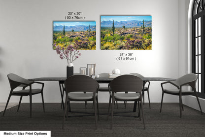 a modern dining room with a large black table surrounded by six chairs. Above the table, there are two framed prints of a desert landscape, providing a scenic view for the dining area. The prints are of different sizes, with one being 24x36 inches and the other being 24x30 inches. The prints are displayed on the wall, adding a touch of nature and artistry to the room.