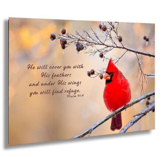 a cardinal sitting on a tree branch with a quote