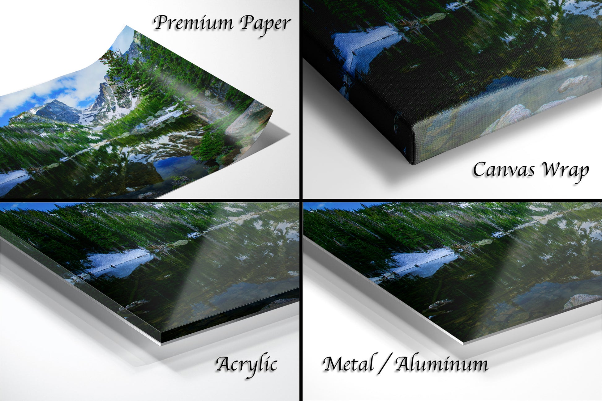 a series of four photos of a forest
