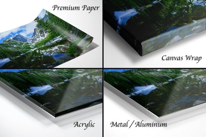 a series of four photos of a forest