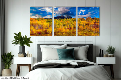 a bed room with a neatly made bed and paintings on the wall
