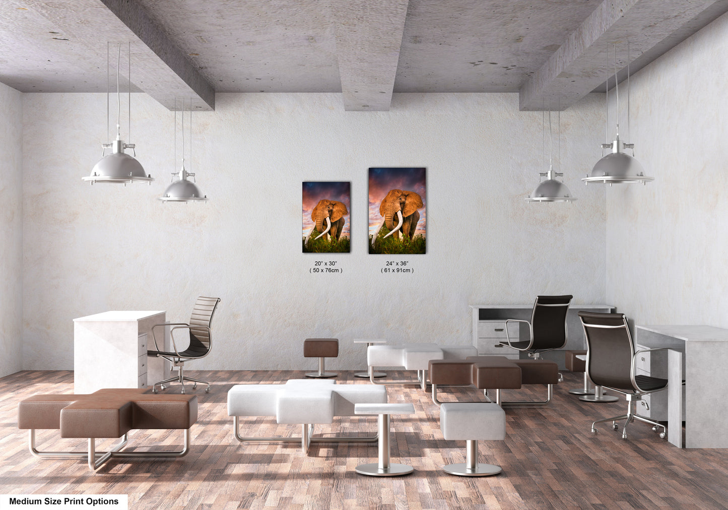 a couple of paintings hanging on the wall of a room