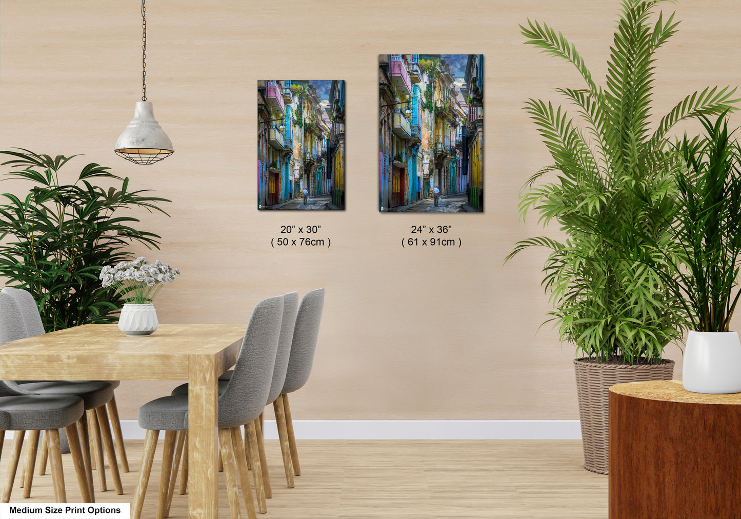 a dining room with a table and chairs next to a potted plant