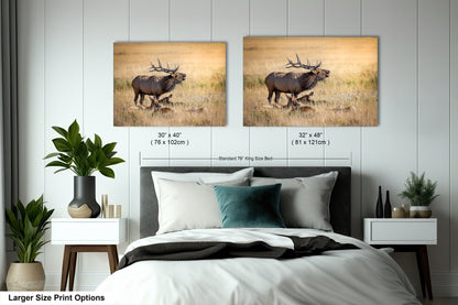 a bed room with a large bed and two pictures on the wall