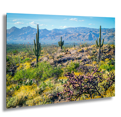 a desert landscape with towering mountains in the background, lush vegetation, and a clear blue sky.