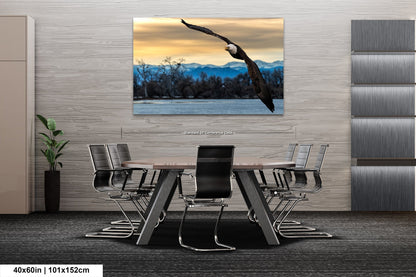 a large bird flying over a wooden table