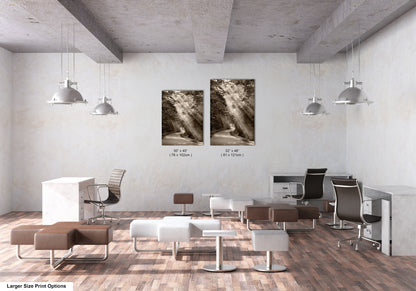 a room with two pictures hanging on the wall